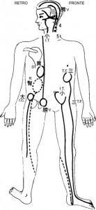 acufene r