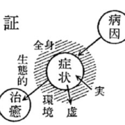Sho: la diagnosi orientale